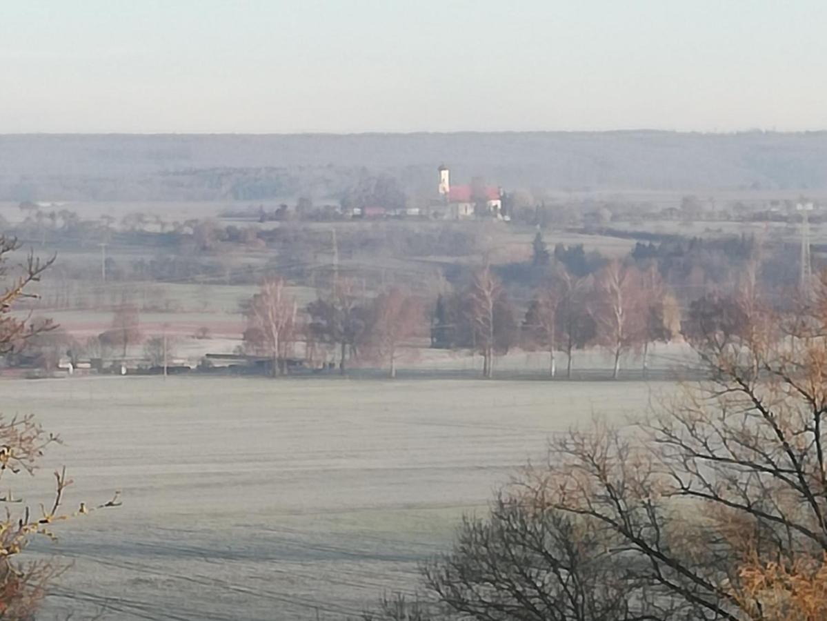 Adler Brasserie Munderkingen Kültér fotó